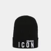 D2 Patch Beanie