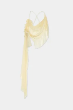 Delicate Sheer Camisole