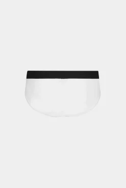 Icon Brief