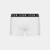 Icon Trunk
